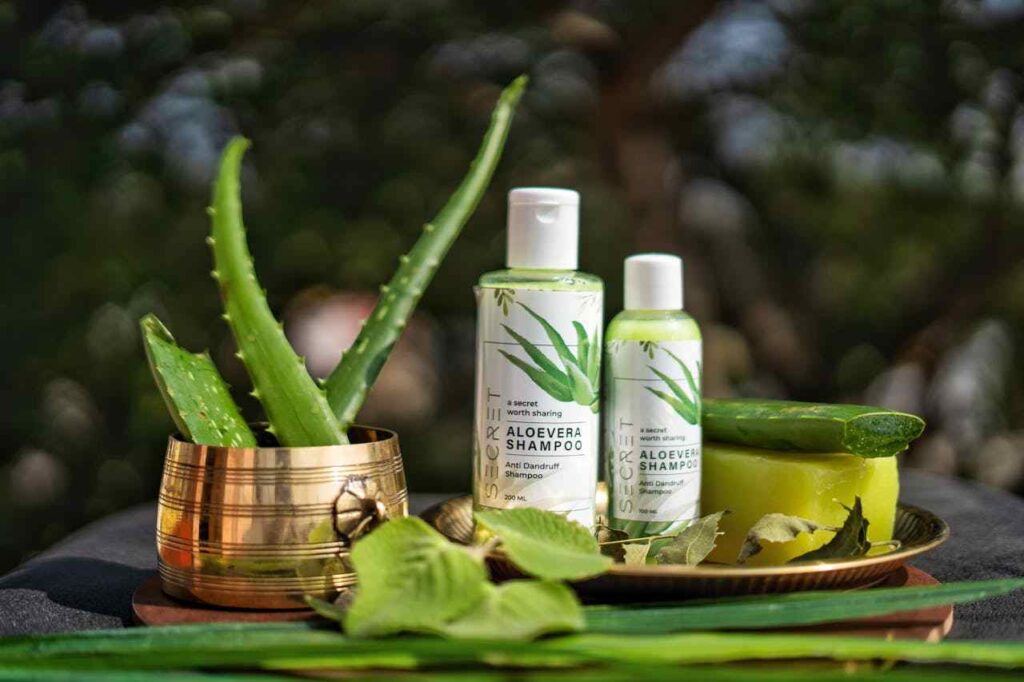 Aloe Vera Business Low Investment Business Idea 